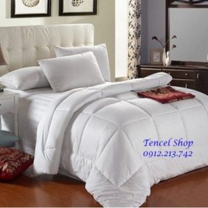 Ruột chăn lông vũ 2,0 x 2,2 m