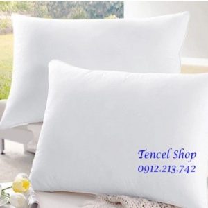 RUỘT GỐI BÔNG HẠT 45X65CM